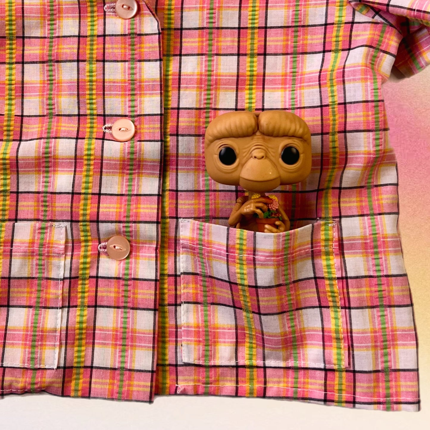 Plaid Picnic Button Down